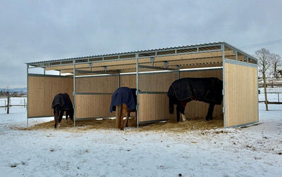 Wooden horse shed 3 x 6 m
